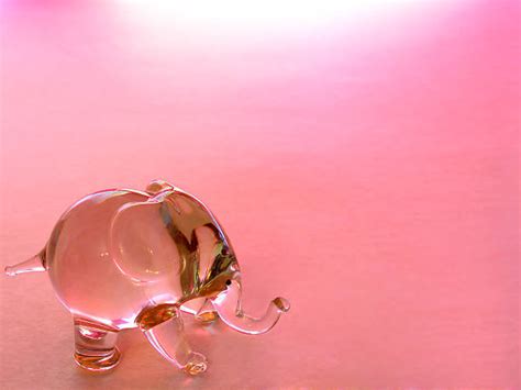 5 800+ Elephant Rose Photos, taleaux et images libre de droits - iStock