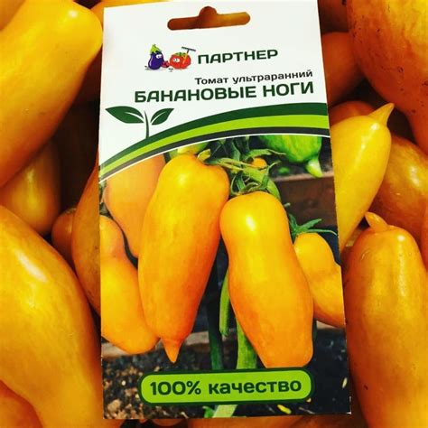 Купить СЕМЕНА томатов фирмы "Партнер", подготовьте себя к сезону - Киев ...