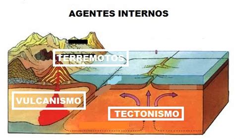 Agentes Internos E Externos