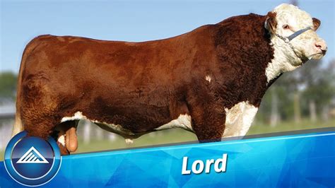 Lord - YouTube
