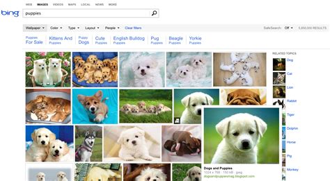 Bing's Image Search Gets A New Look, Updated Features