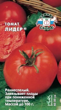 Томат Лидер: описание сорта, отзывы, фото | tomatland.ru