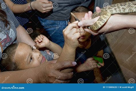 Sweetwater, Texas Rattlesnake Roundup. Editorial Stock Photo - Image of ...