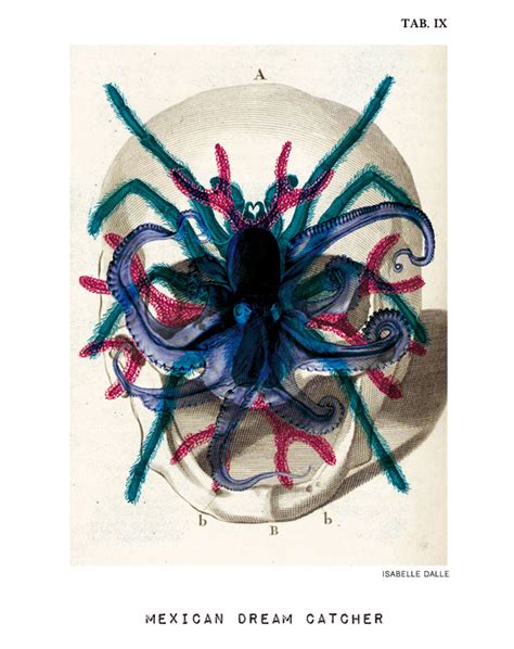 Digital Anatomy Portraits by Isabelle Dalle | The Dancing Rest