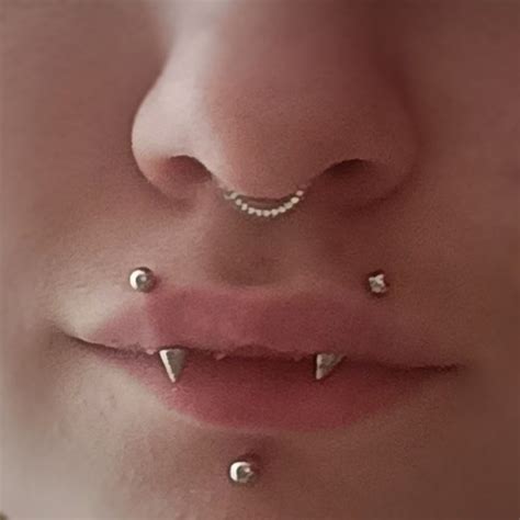 пирсинг, септум, лабрет, укус змеи | Mouth piercings, Face piercings ...