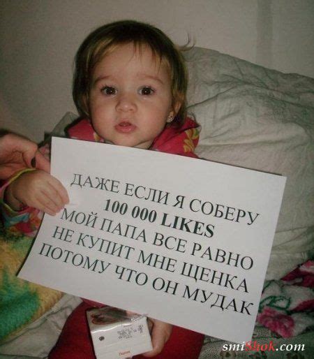 Веселі фотки, смішні картинки » Smiшок.ком