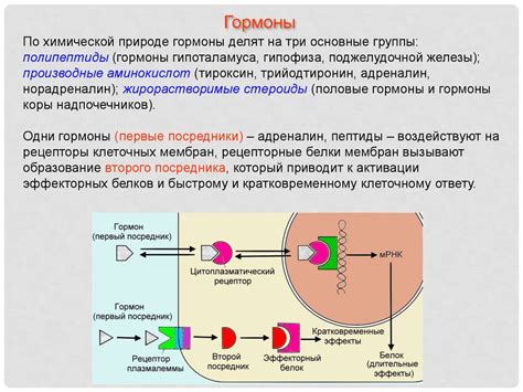 Гипоталамо-гипофизарная система - презентация онлайн