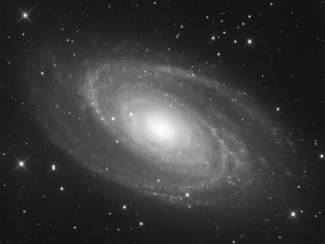 M81