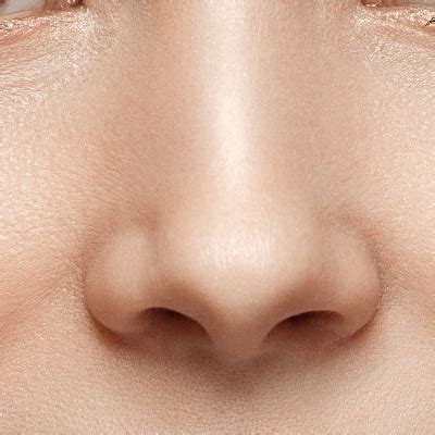 Nose Facts for Kids - Facts Just for Parents, Teachers and Students