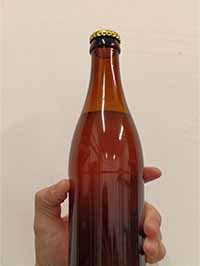 Пивоварня ПВК Gambrinus (Гамбринус) — король среди пивоварен!