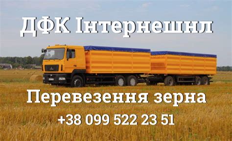 Цена на подсолнечник в Украине - 11800 грн/т