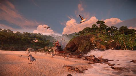 Chasing Birds : r/HorizonScreenshots