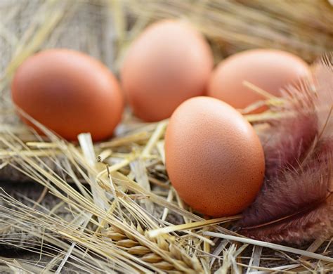 5-uniques-bonnes-raisons-de-manger-des-oeufs - Marie Claire