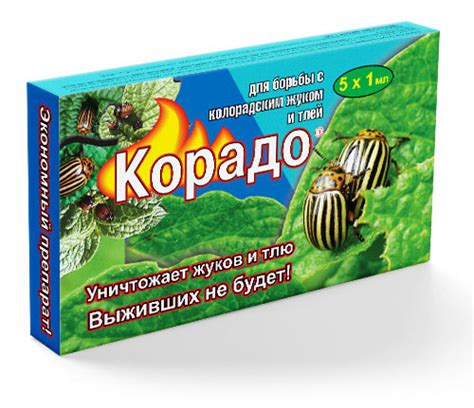 Сорт картофеля Иван да Марья: характеристика, описание с фото, отзывы