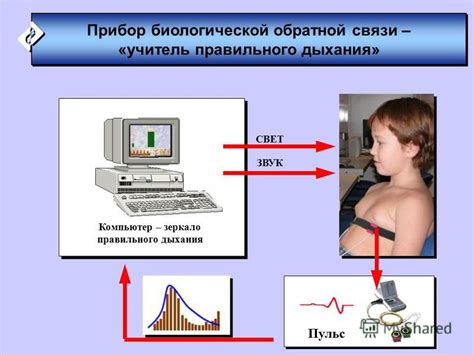 Презентация на тему: "Крупнейший проект массового оздоровления России ...
