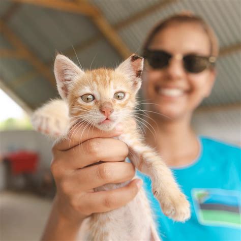 The City Vet Clinic - Home