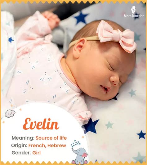 Evelin Name Meaning, Origin, History, And Popularity