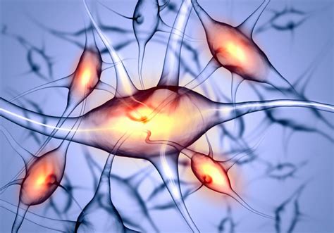 Biorezonans Therapy - Biorezonans Tedavi Merkezi