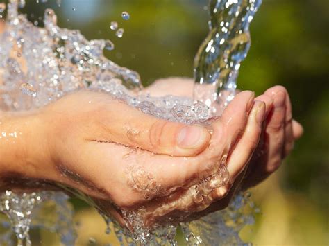 Water IS Life, Drink Up! | Nourished