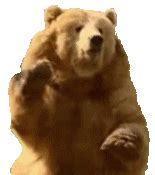 Waving Bear GIFs | Tenor