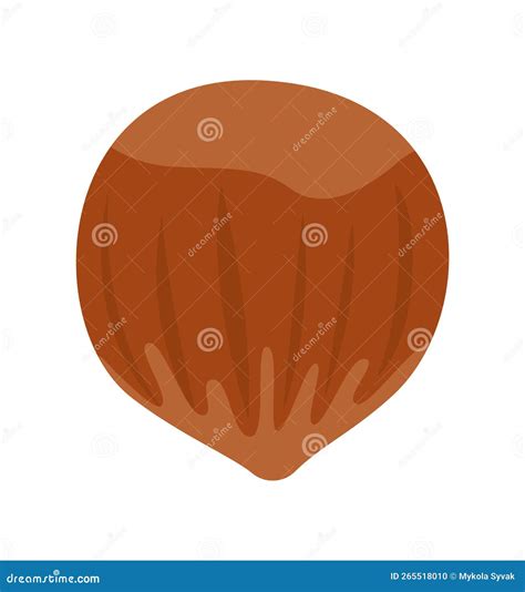 Nut Flat Icon Allergen Food Stock Vector - Illustration of diet