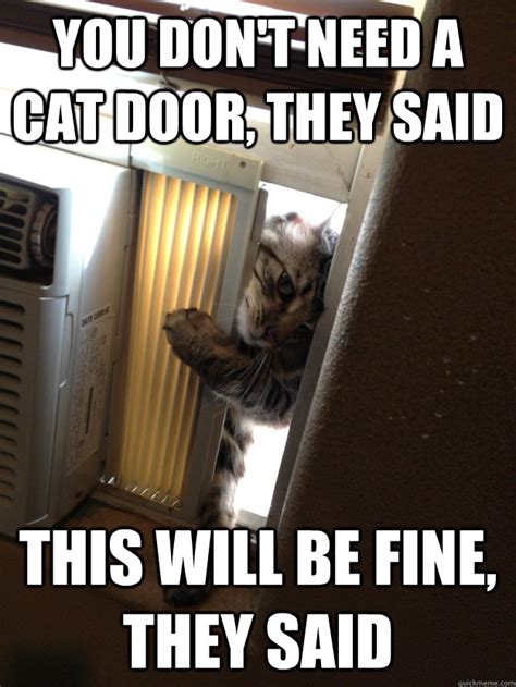 hello sir do you have a minute to talk about Jesus Christ? - Jehovah Cat - quickmeme