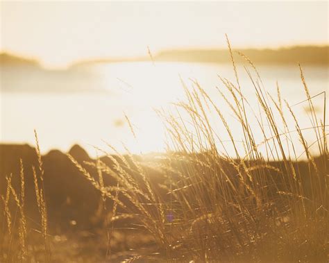 illuminance  behance