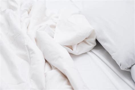 percale sheets cotton percale sheet reviews october