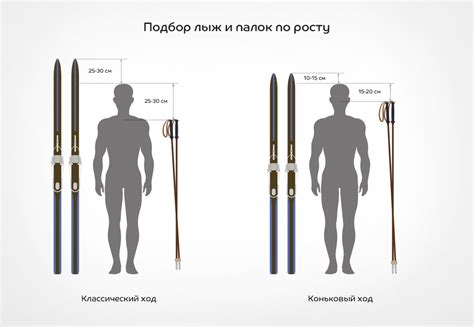 Как подобрать лыжные палки: длина для конька и классики, таблица