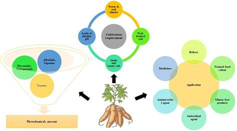 Future Postharvest and Food: Vol 1, No 4