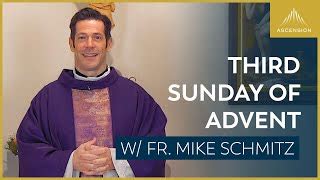 Catholic Mass today with Father Mike Schmitz - Catholic Mass Online Search