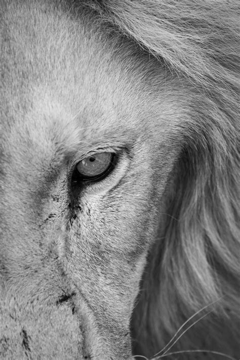 scar face costumes 4