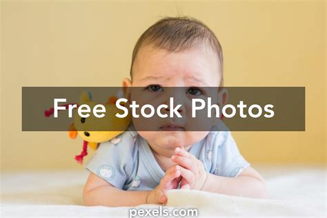 Best Prone Photos · 100% Free Download · Pexels Stock Photos