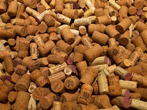 sommelier   world debunks cork sniffing jancis robinson