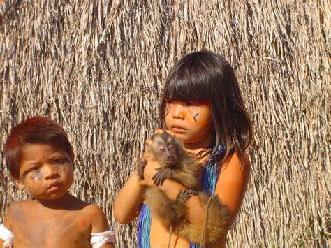 xingu tribe toddlers high quality stock   xingu