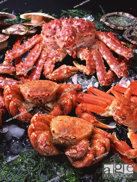Fishery Products, Stock Photo, Picture And Royalty Free Image. Pic. SZJ ...