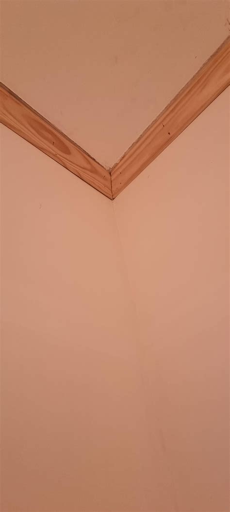 Thanks for all the advice on crown molding - coped with a grinder