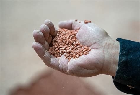 Top Fertilizer Maker Nutrien Warns Against ‘Artificial’ Market ...