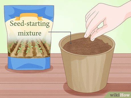 How to Grow an Ohia Tree: 12 Steps (with Pictures) - wikiHow Life