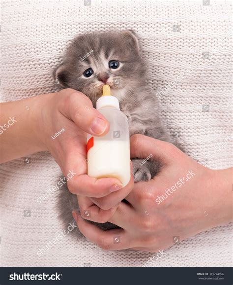 Neonate Milk Images: Browse 837 Stock Photos & Vectors Free Download