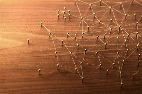 Como construir o seu networking - Milta Rocha