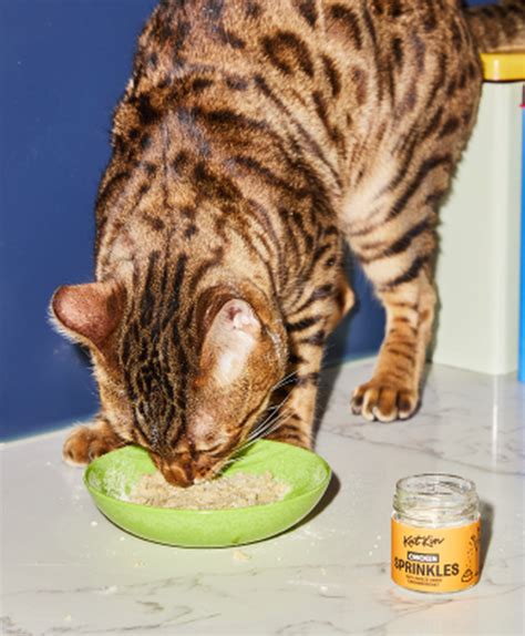 Fresh Kitten Food | Natural & Grain Free | KatKin