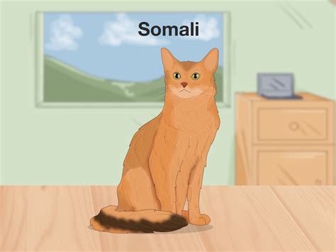 cats that look like leopards