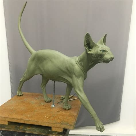 Pin on 雕塑头 | Sphinx cat, Cat anatomy, Cat art