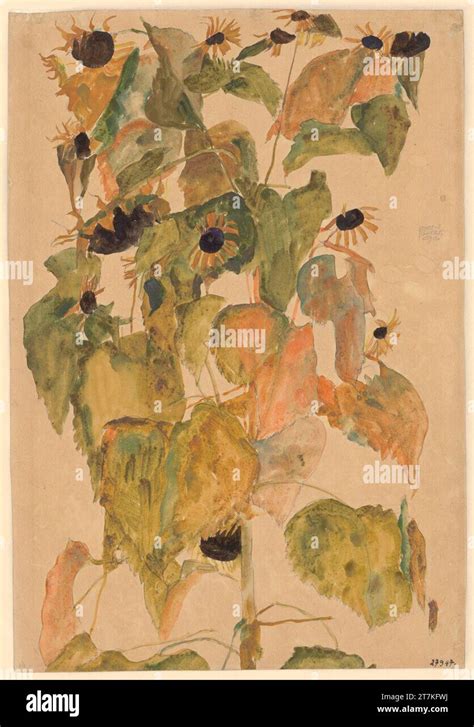 Egon Schiele Sunflowers. Pencil, watercolor on paper 1911 , 1911 Stock ...