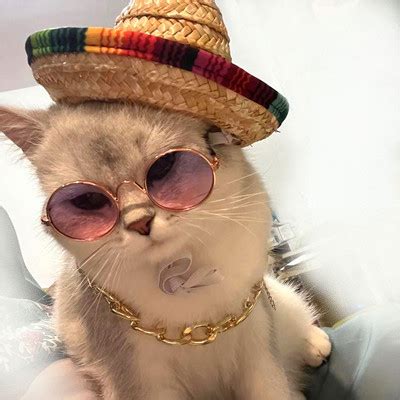 Badu.bg Шапка за котка Шапка за домашен любимец Летни аксесоари Плетена ...