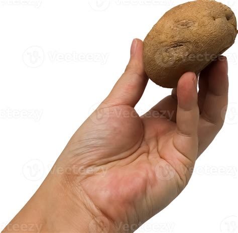 Boiled potato. isolated object, transparent background 32989203 PNG