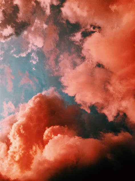 An Intro to White Balance for Beginner Photographers