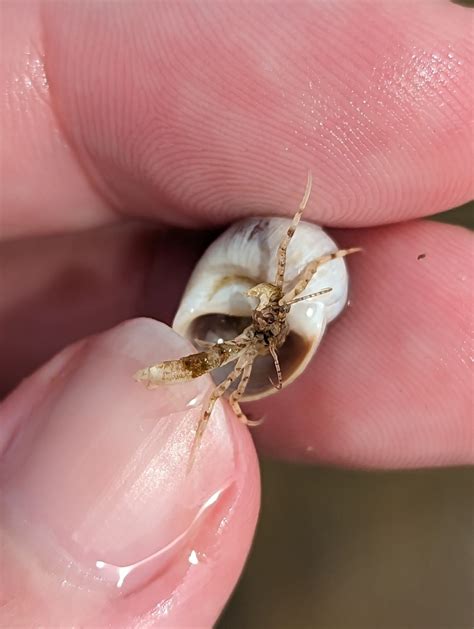 Arrested While Traveling: The Role of State and Federal Law 3