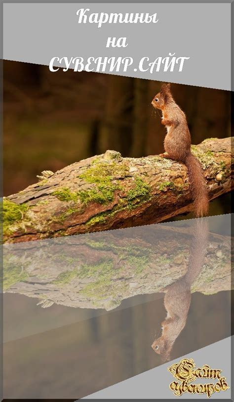Мелкие млекопитающие - картины | Animals, Lizard